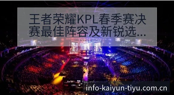王者荣耀KPL春季赛决赛最佳阵容及新锐选手战术价值深度分 - 开云